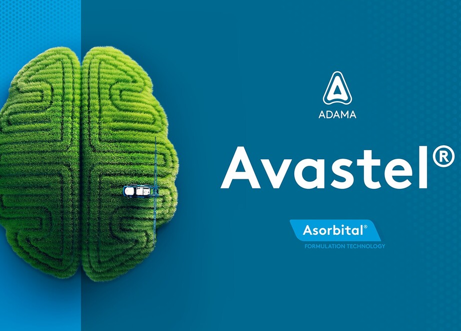 Avastel key visual_ITA.jpg