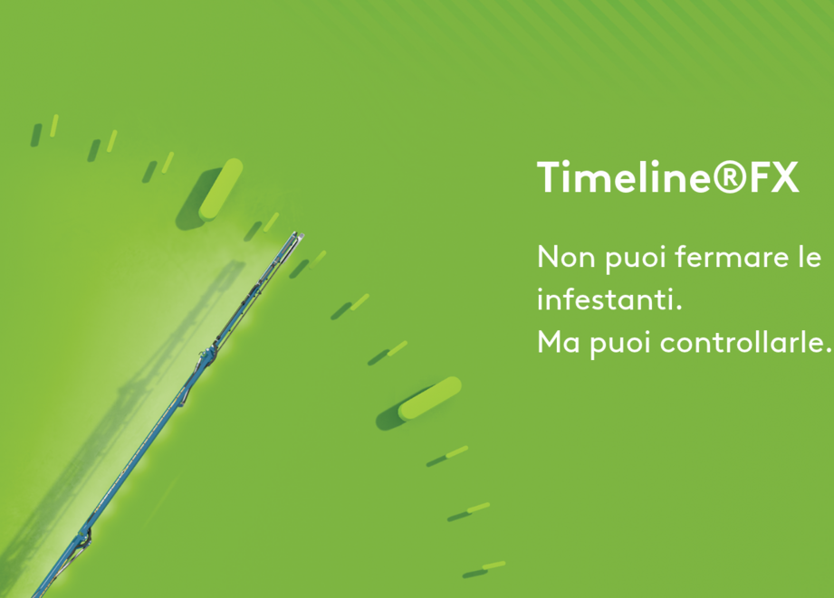 Header LP Isondalis (1).png
