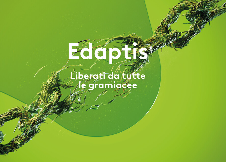 Slider-EDAPTIS.jpg