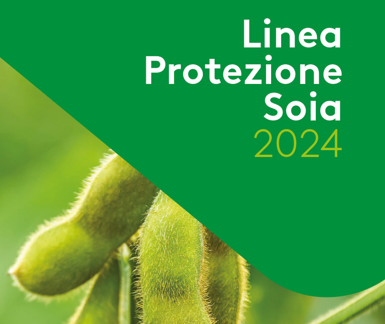 Cover Linea Protezione Soia Adama Italia 2024