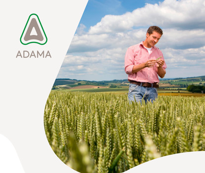 Linea Protezione Cereali Adama 2023
