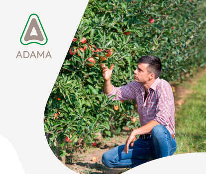 Linea Protezione Pomacee Adama 2023