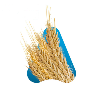 Linea-cereali