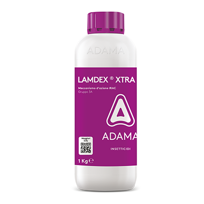 LAMDEX XTRA 1Kg