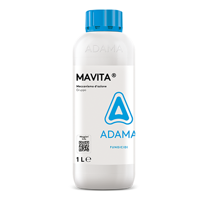 MAVITA 1L