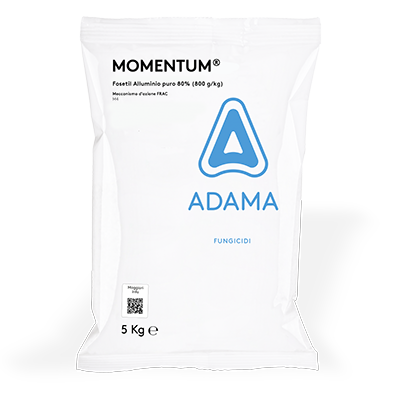 MOMENTUM 5Kg