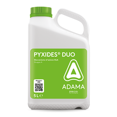PYXIDES DUO_5L