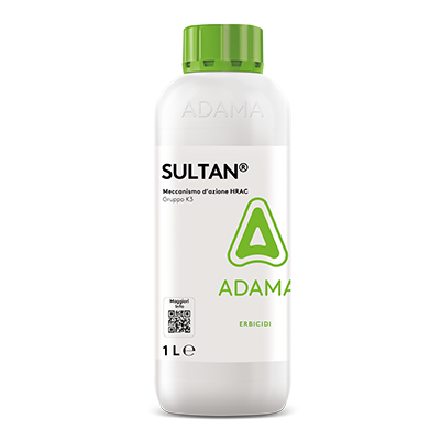 SULTAN