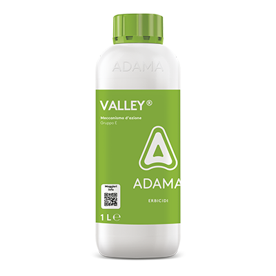 VALLEY