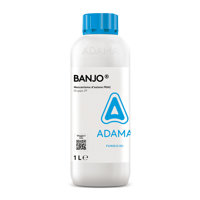 BANJO 1L ADAMA