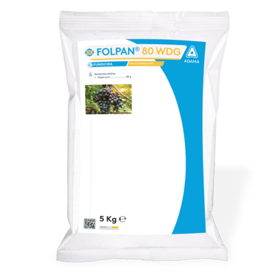 FOLPAN 80 WDG 5 kg fungicida Adama Italia