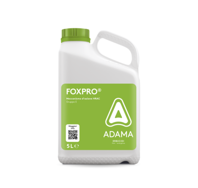 Foxpro Adama Italia