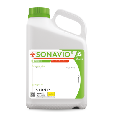 Sonavio su Pomodoro Adama