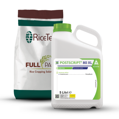 Postscript® 80 XL e Fullpage®
