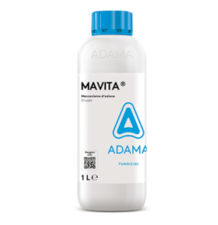 MAVITA 1L