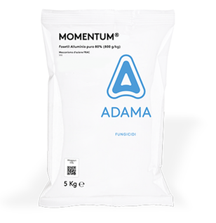 MOMENTUM 5Kg