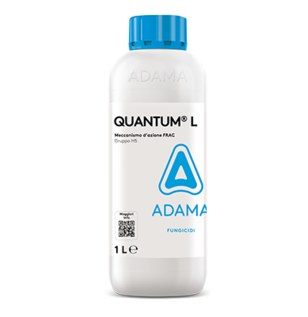 QUANTUM L 1L