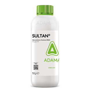 SULTAN