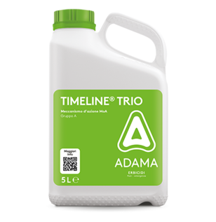 Timeline® Trio