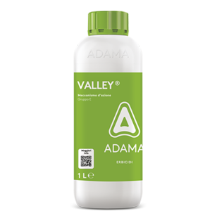 VALLEY