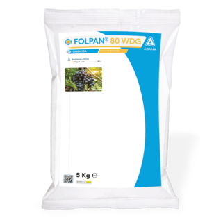 FOLPAN 80 WDG 5 kg fungicida Adama Italia