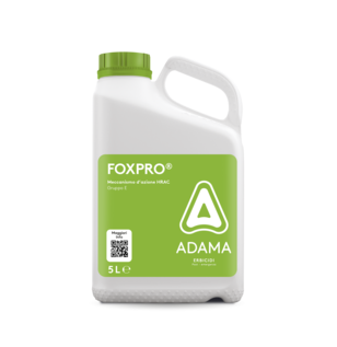 Foxpro Adama Italia