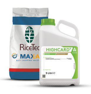 MAX-ACE® e HIGHCARD®