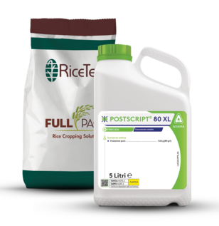 Postscript® 80 XL e Fullpage®