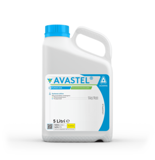 AVASTEL
