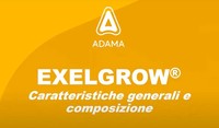 Webinar EXELGROW