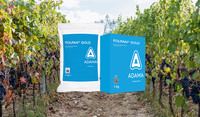 FOLPAN GOLD Adama vite