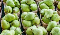 adama mercato delle pere in italia e estero