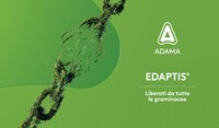 Edaptis