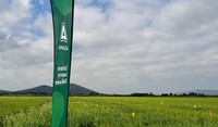 Eventi in campo - Piacenza