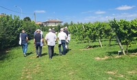 Prova vite - 10 luglio