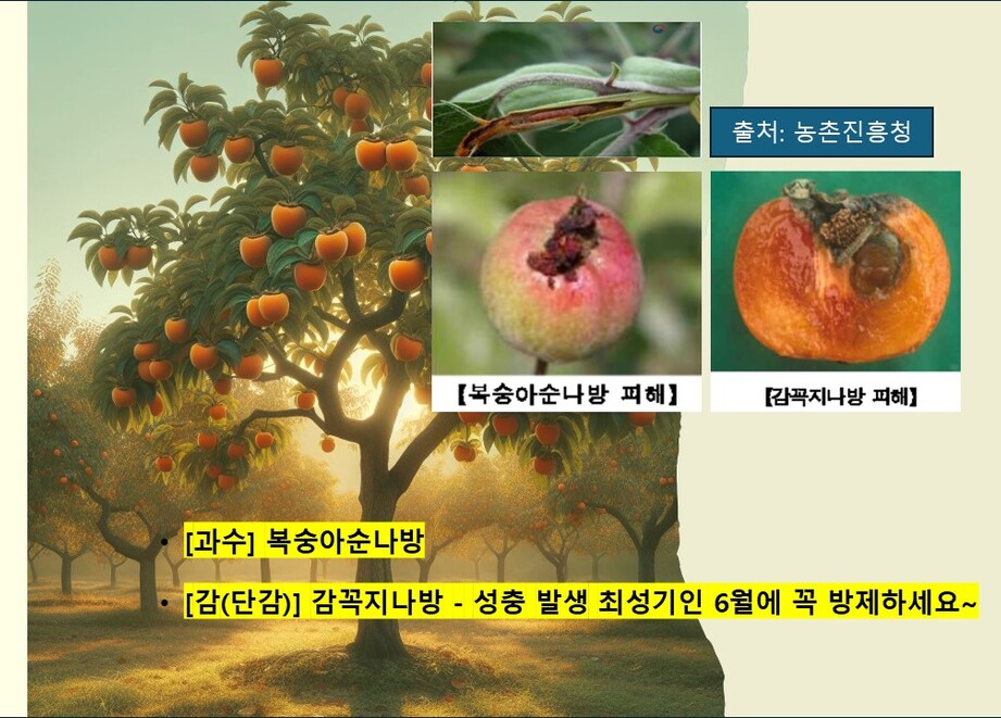 2506 주요 병해충2