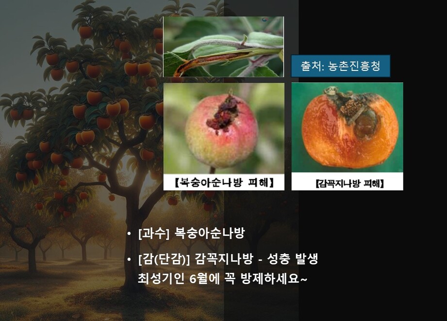2506 중요 병해충