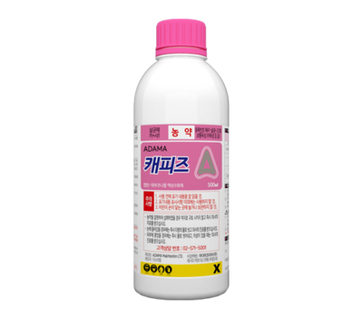 캐피즈