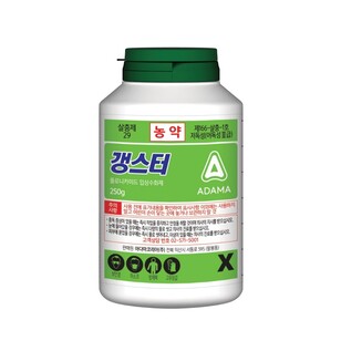 갱스터 250g