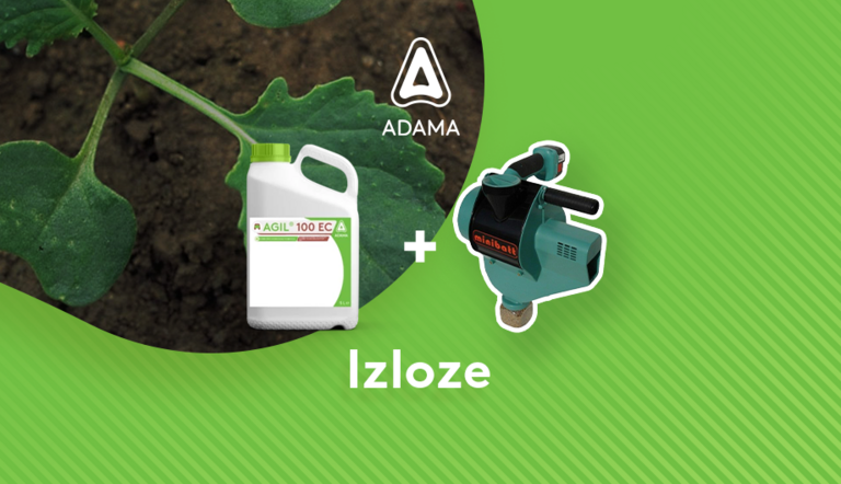 Izloze