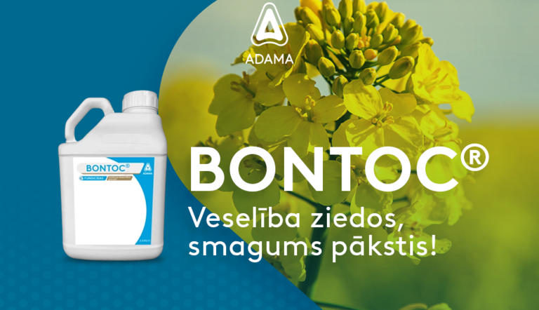 BONTOC 920x660