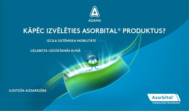 Asorbital