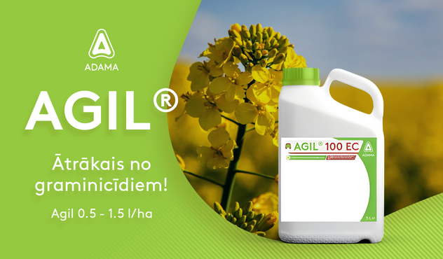 Agil