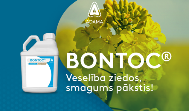 BONTOC 920x660