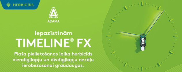Timeline® FX - Bottom