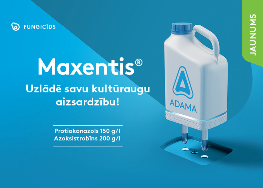 Maxentis®