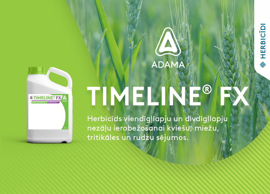 Timeline