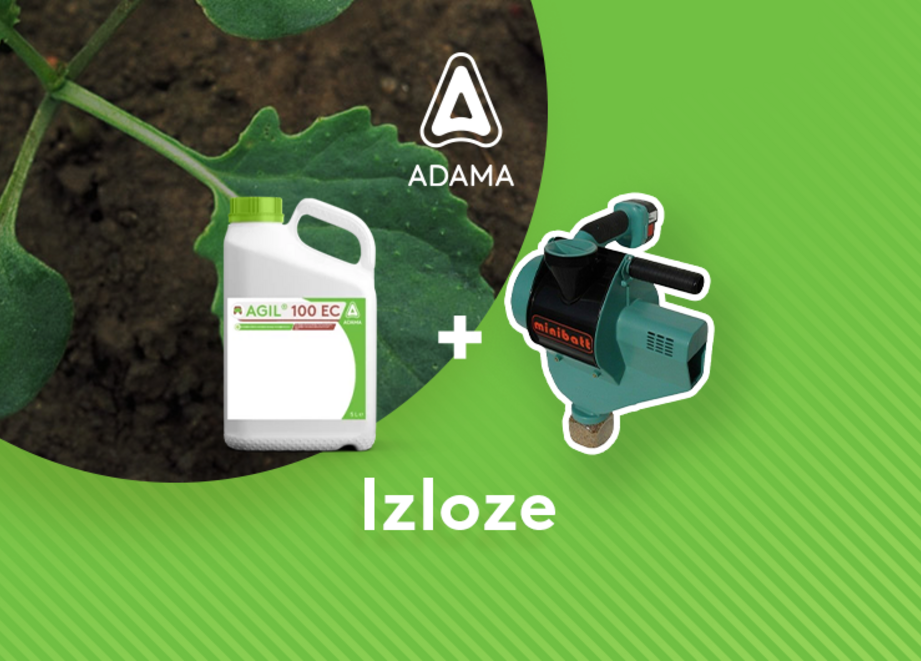 Izloze