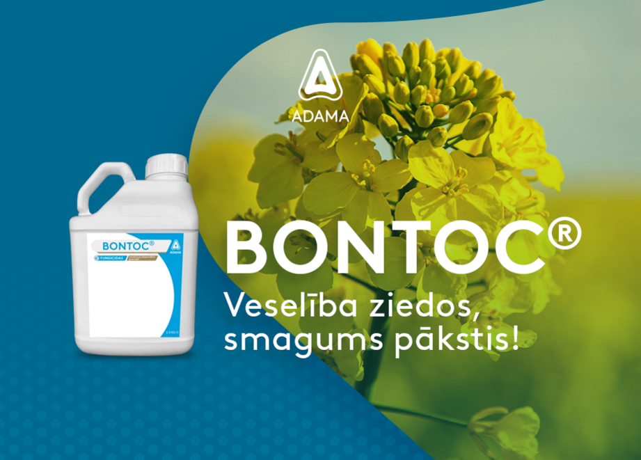 BONTOC 920x660