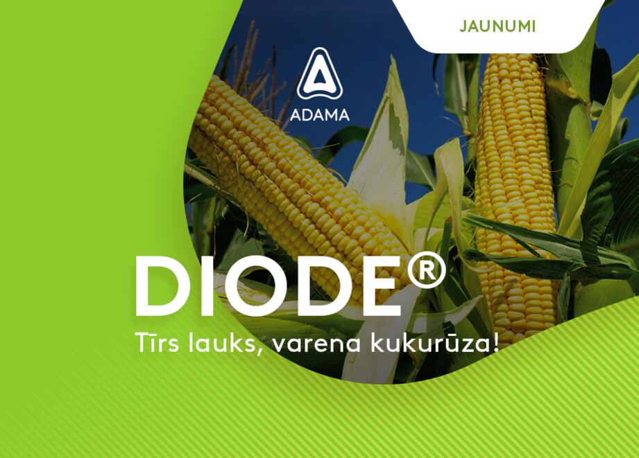 DIODE LV Jaunumi 920x660
